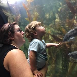 Meet your Posher, Niki